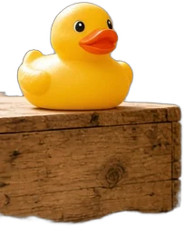 the rubber duck